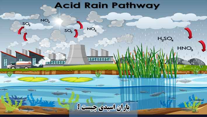 در مورد باران اسیدی چه می دانید؟